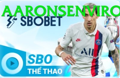 Cá Cược Thể Thao - Trải nghiệm tuyệt vời